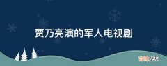 贾乃亮演的军人电视剧?