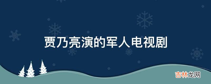 贾乃亮演的军人电视剧?