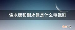 谢永康和谢永建是什么电视剧?