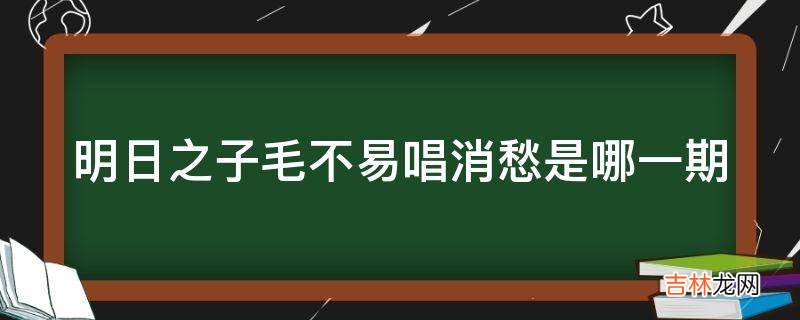 明日之子毛不易唱消愁是哪一期?