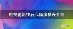 电视剧新铁石心肠演员表介绍?