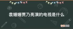 袁姗姗贾乃亮演的电视是什么?