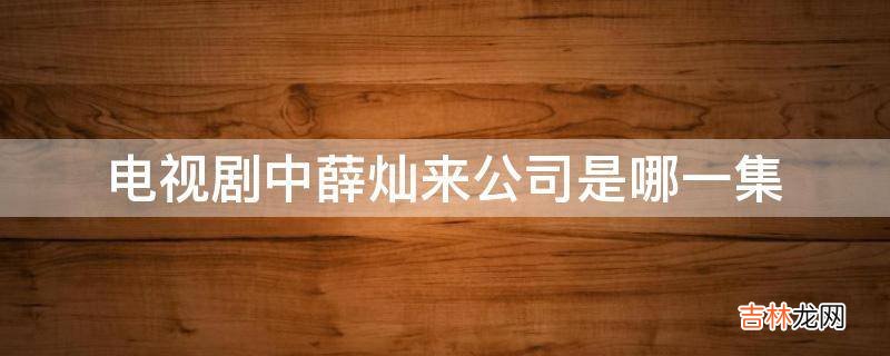 电视剧中薛灿来公司是哪一集?