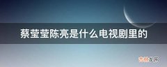 蔡莹莹陈亮是什么电视剧里的?