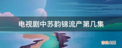 电视剧中苏韵锦流产第几集?