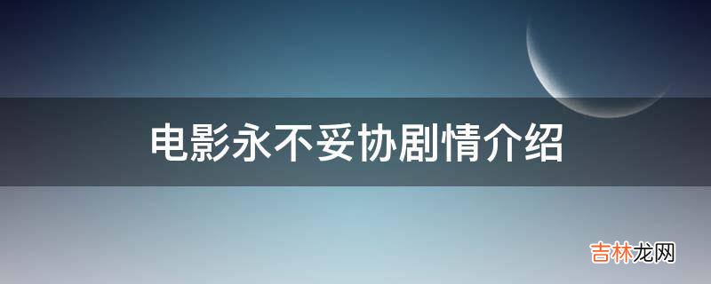 电影永不妥协剧情介绍?