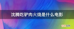 沈腾吃驴肉火烧是什么电影?