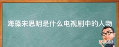 海藻宋思明是什么电视剧中的人物?