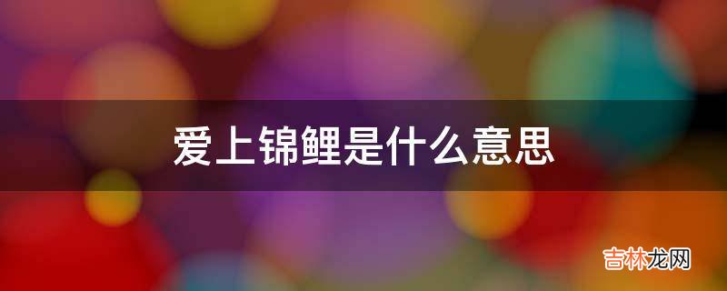 爱上锦鲤是什么意思?