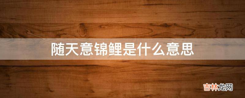 随天意锦鲤是什么意思?