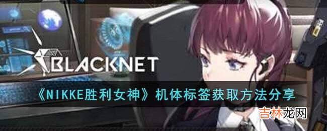 NIKKE胜利女神机体标签怎么获得