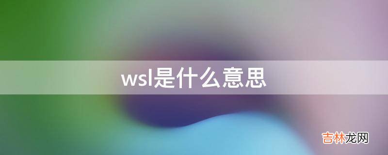 wsl是什么意思?