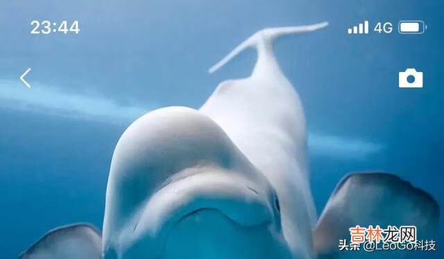 微信怎样发朋友圈(朋友圈怎么全部锁起来)