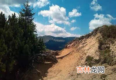 FF14金蝶币怎么刷 幻卡王攻略