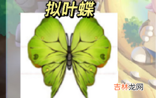 摩尔庄园拟叶蝶位置在哪