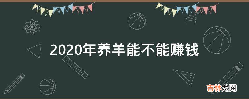 2020年养羊能不能赚钱?