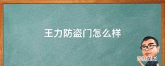 王力防盗门怎么样?