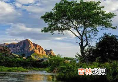 美国中期选举是什么 中期选举时间