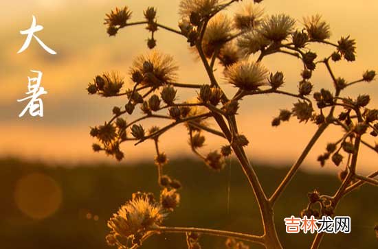 2023年大暑过了就凉快了吗