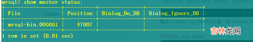 windows下mysql的数据主主同步