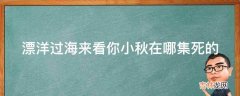 漂洋过海来看你小秋在哪集死的?