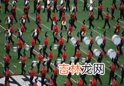汪汪队故事睡前文字版 儿童睡前故事文字版