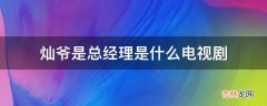 灿爷是总经理是什么电视剧?