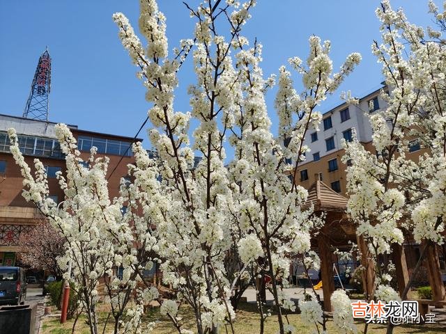一加手机到底能不能买（一加是啥牌子手机)