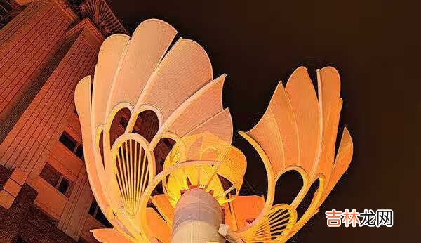 小米11pro评测_小米11pro全面评测