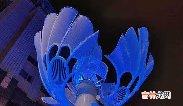 小米11pro评测_小米11pro全面评测