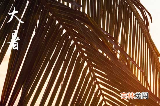 2023年什么时候入大暑,2023大暑时间是什么时候