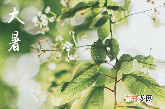 2023大暑吃什么食物养生 大暑养生应该吃什么