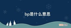 ?bp是什么意思?