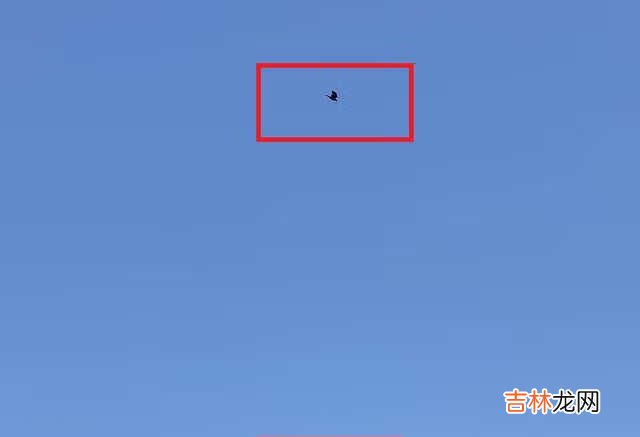 iphone13pro和华为mate40pro拍照对比_哪款拍照效果更好
