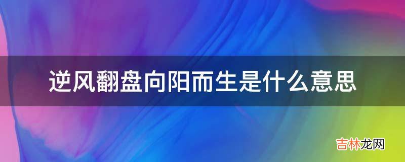 逆风翻盘向阳而生是什么意思?