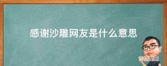 感谢沙雕网友是什么意思?