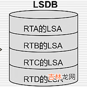 浅谈-动态路由之OSPF的理解