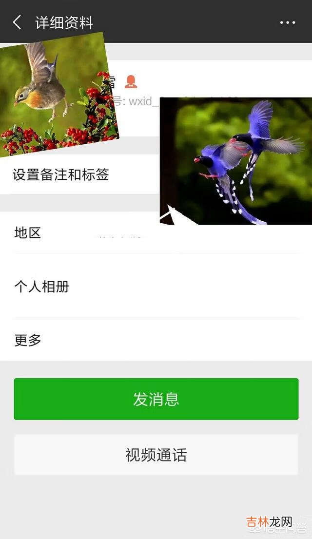 怎么删除微信好友(一键恢复已删除好友)