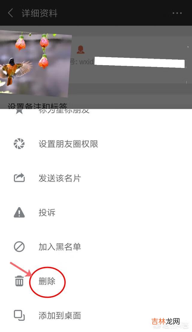 怎么删除微信好友(一键恢复已删除好友)