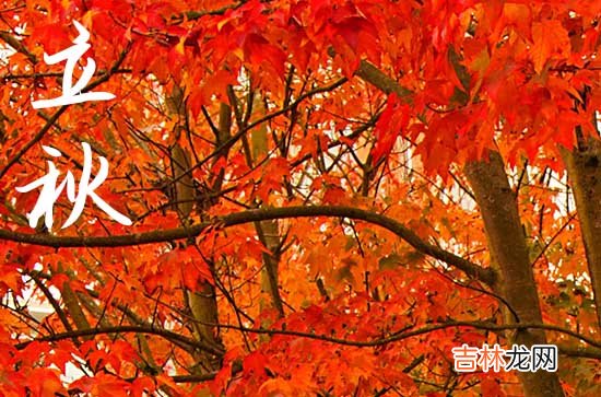 2023立秋下雨好不好 立秋下雨好还是天晴好