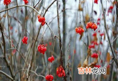 野三坡六大特色景区 野三坡景区攻略