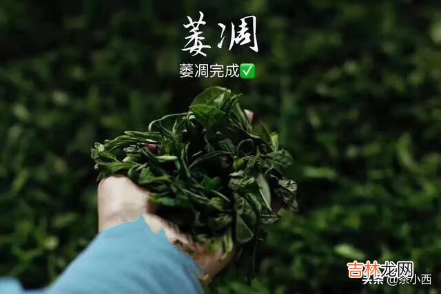 红茶怎么做（红茶的功效与作用)