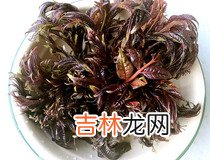 香椿拌豆腐做法 家常菜香椿拌豆腐简单做法步骤