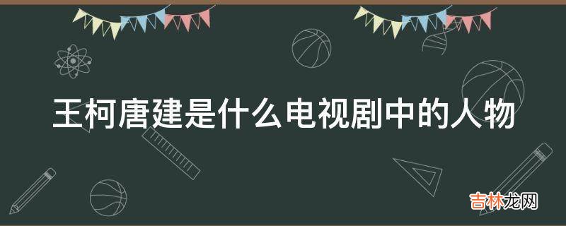 王柯唐建是什么电视剧中的人物?