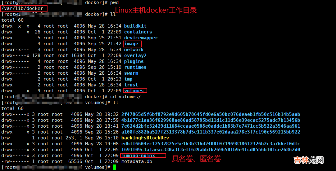 Docker | 容器数据卷详解