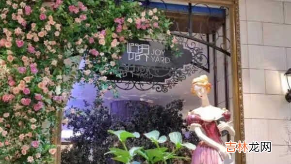 vivox60和小米11拍照对比_vivox60和小米11怎么选