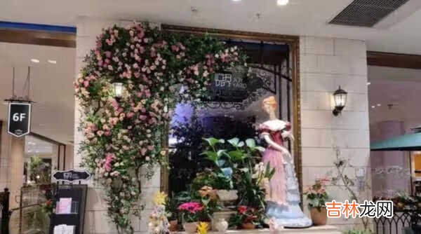 vivox60和小米11拍照对比_vivox60和小米11怎么选