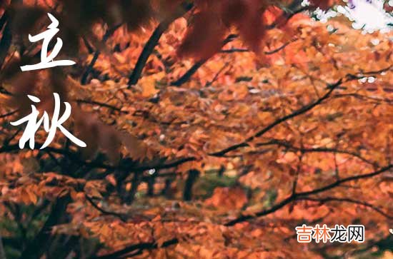 8月8日立秋，2023年是“穿衣秋”还是“脱衣秋”