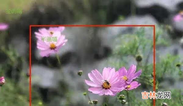 全画幅和半画幅的区别大吗_全画幅和半画幅哪个好