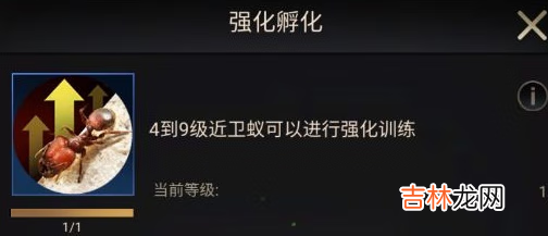 小小蚁国中期进化类型怎么选择